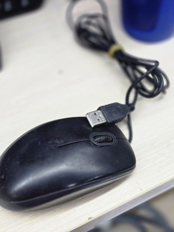 Мышь Logitech B100