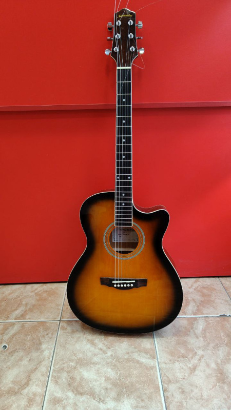 Гитара Naranda tg120cts