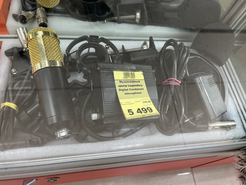 Музыкальный центр Legendary Digital Condenser microphone