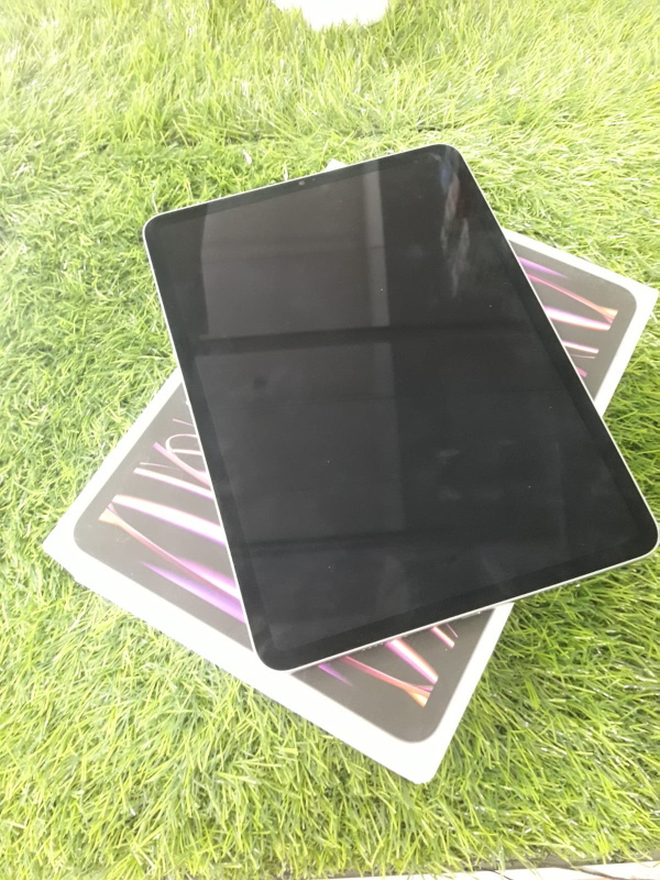Планшет Apple iPad Pro 11 (4-го поколения) (2022)