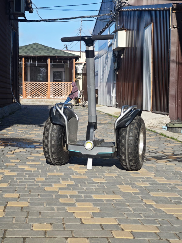 Гироскутер внедорожный Segway EcoDrift SX2 Black