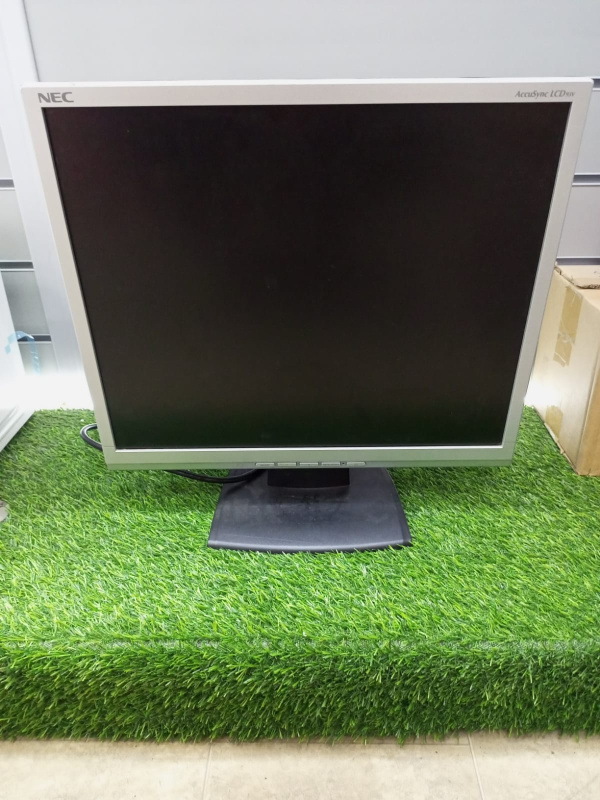 Монитор Nec MultiSync LCD L195GY